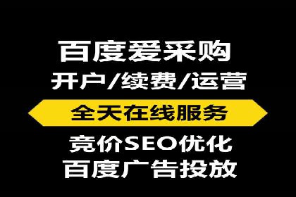 百度竞价成功案例解析